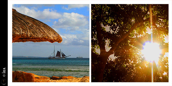 KERUCOV .ro - Travel Articles And Photography - Degetele vesele la plimbare pe plaja din Mauritius - Ira - destinatii de vacanta