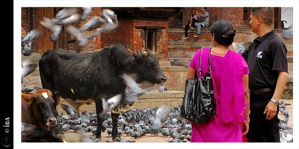 KERUCOV .ro - Travel Articles And Photography - Trecere prin Nepal, Kathmandu, poarta catre Himalaya - Ira - destinatii de vacanta