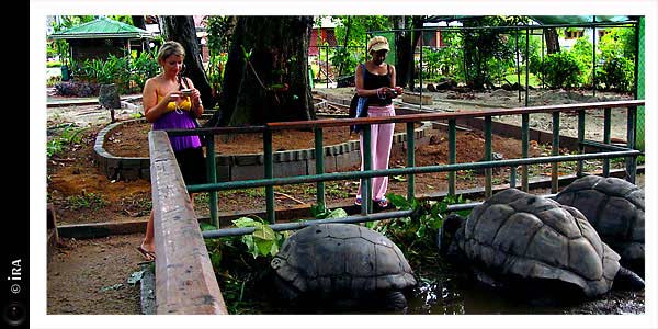 KERUCOV .ro - Intreaga lume vazuta in zbor - Seychelles, la est de Africa, arhipelagul Seychelles - Ira - destinatii de vacanta